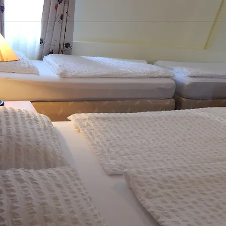 Hotel Alpina Kranjska Gora