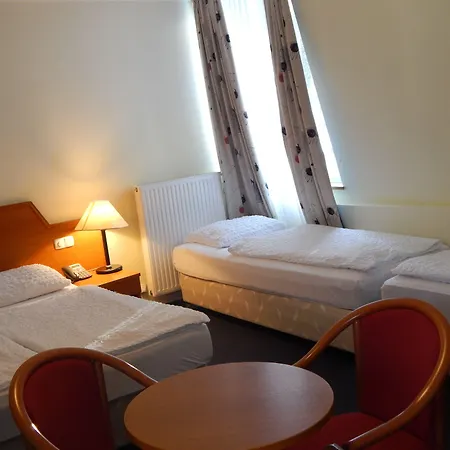 Alpina Hotel 3*