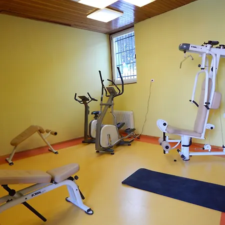 Hotel Alpina Kranjska Gora