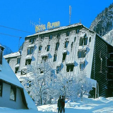 Hotel Alpina 3*