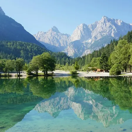 Hotel Alpina 3*