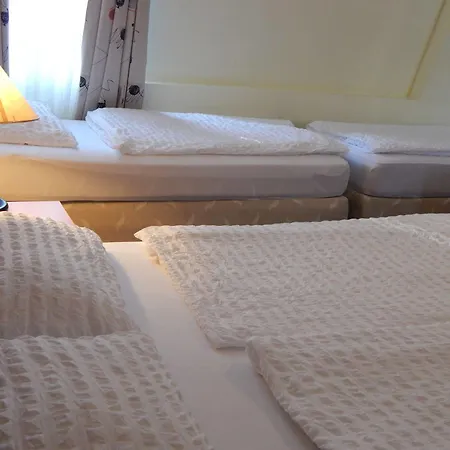 Alpina Hotel 3*