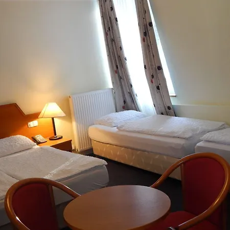 Hotel Alpina