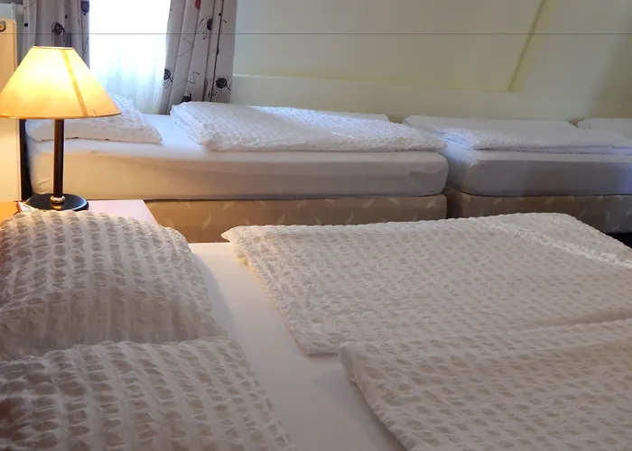 Hotel Alpina Kranjska Gora