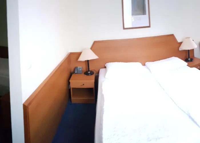 Alpina Hotel Kranjska Gora