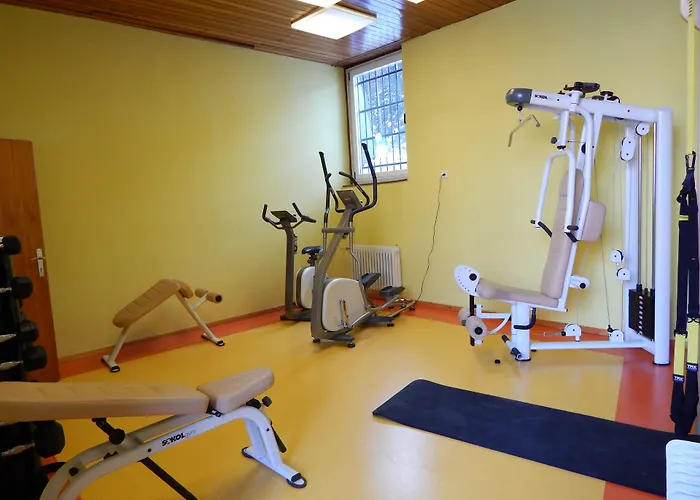 Hotel Alpina Kranjska Gora