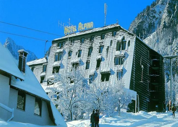 Hotel Alpina 3*